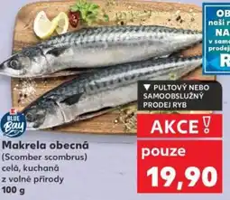 Kaufland Makrela obecná nabídka