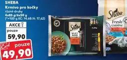 Kaufland SHEBA Krmivo pro kočky nabídka