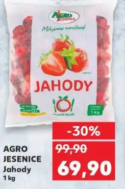 Kaufland AGRO JESENICE Jahody nabídka
