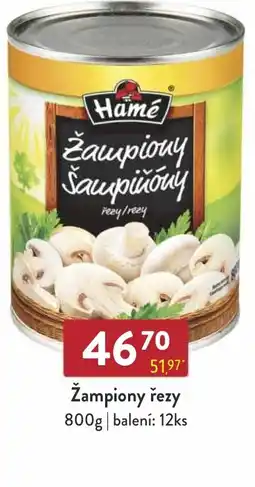 Astur&Qanto Hamé Žampiony řezy nabídka