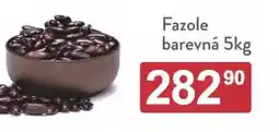 Astur&Qanto Fazole barevná nabídka