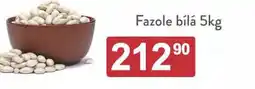 Astur&Qanto Fazole bílá nabídka