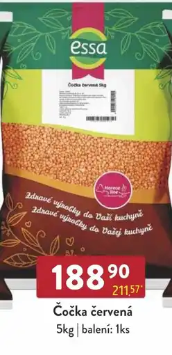Astur&Qanto Essa Čočka červená nabídka
