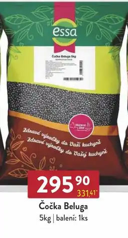 Astur&Qanto Essa Čočka Beluga nabídka