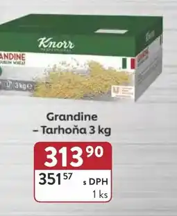Astur&Qanto Knorr Grandine - Tarhoňa nabídka