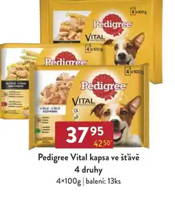 Astur&Qanto Pedigree Vital kapsa ve šťávě nabídka