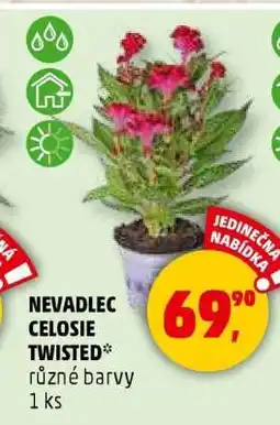 Penny Market NEVADLEC CELOSIE TWISTED nabídka
