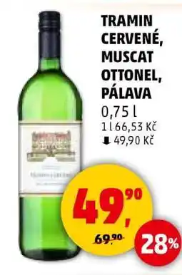 Penny Market TRAMÍN ČERVENÉ, MUSCAT OTTONEL, PÁLAVA nabídka