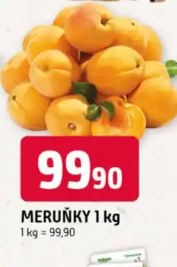 Trefa Meruňky nabídka
