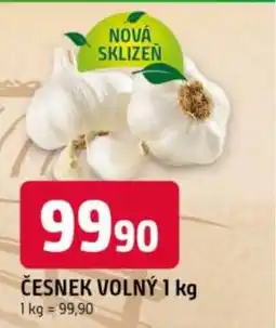 Trefa Česnek volný nabídka