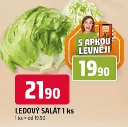 Trefa Ledový salát nabídka