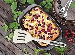 Tescoma Zapékací mísa GrandCHEF 36 x 24 cm nabídka