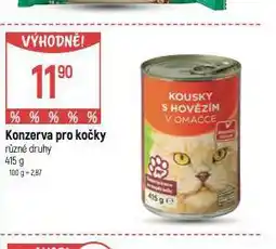 Globus Konzeva pro kočky nabídka