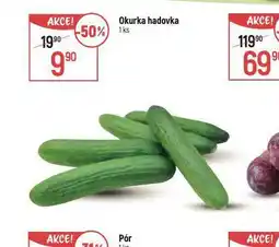 Globus Okurka hadovka nabídka