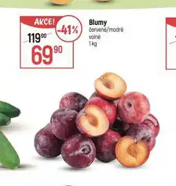 Globus Blumy nabídka