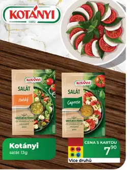 Tamda Foods Kotányi salát nabídka