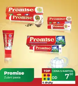 Tamda Foods Promise Zubní pasta nabídka