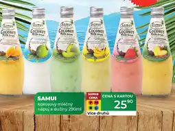 Tamda Foods SAMUI kokosový mléčný nápoj a dužiny nabídka