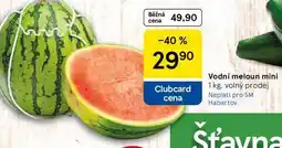 Tesco Vodní meloun mini, 1 kg nabídka