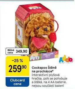 Tesco Cockapoo štěně na procházce nabídka