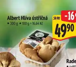Albert Albert Hlíva ústřičná 300 g nabídka