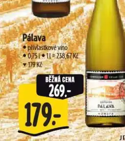Albert Pálava nabídka