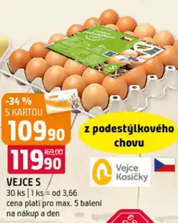 Terno Vejce S nabídka
