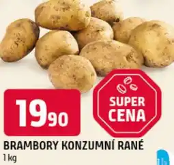 Terno Brambory konzumní rané nabídka
