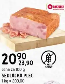 Terno Sedlácká plec nabídka