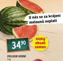 Terno Meloun vodní nabídka