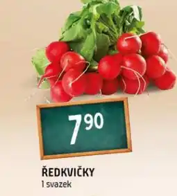 Terno Ředkvičky nabídka