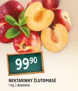 Terno Nektarinky žlutomasé nabídka