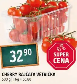 Terno Cherry rajčata větvička nabídka