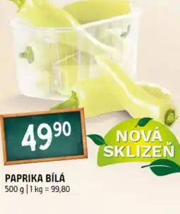 Terno Paprika bílá nabídka