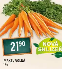 Terno Mrkev volná nabídka
