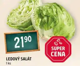 Terno Ledový salát nabídka