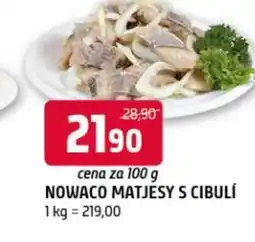 Terno Nowaco matjesy s cibulí nabídka