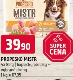 Terno Propesko mistr nabídka