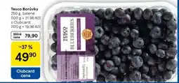 Tesco Tesco Borůvky nabídka