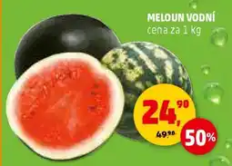 Penny Market MELOUN VODNÍ nabídka