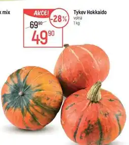 Tykv Hokkaido
