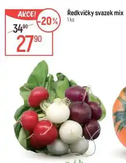 Globus Ředkvičky svazek mix nabídka