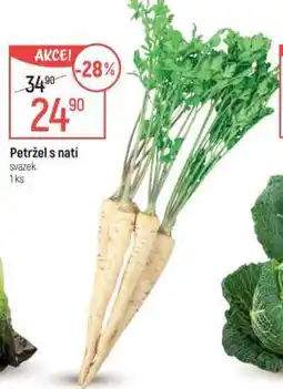 Globus Petržel s natí nabídka