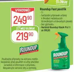 Globus ROUNDUP FAST POSTŘIK nabídka