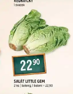 Terno Salát litle gem nabídka