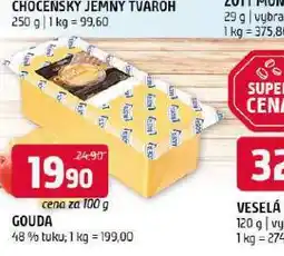 Terno Gouda 48% nabídka
