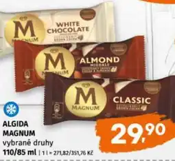 Terno Algida magnum nabídka