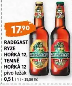 Terno Radegast ryze hořká 12, temně hořká 12 nabídka