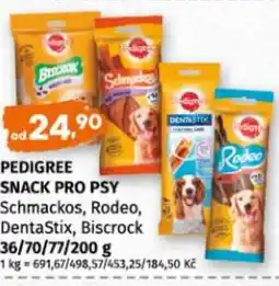 Terno Pedigree snack pro psy nabídka