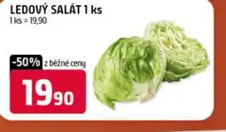 Terno Ledový salát nabídka